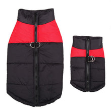 Load image into Gallery viewer, Dog Clothes